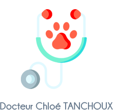 Clinique Vétérinaire Angers